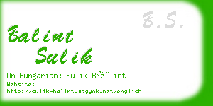 balint sulik business card